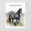 Suche nach pferdeschlitten postkarten Pferdeliebhaber