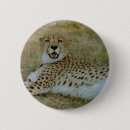 Suche nach geparden buttons Tier