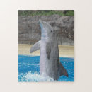 Suche nach delphin puzzle Wasser