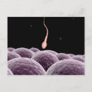 Suche nach sperma postkarten Biologie