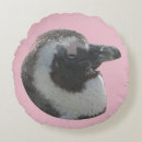 Suche nach pinguingesicht Pinguindesign