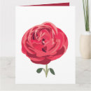 Suche nach roter blumengruß Rose