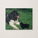 Suche nach neufundland puzzle Hund