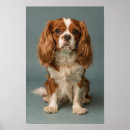 Suche nach hundeporträt poster Für hunde liebhaber