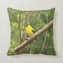 Suche nach goldfinch kissen Singvogel