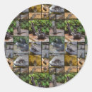 Suche nach otter aufkleber Foto