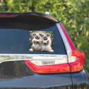 Suche nach koalas aufkleber Tragen