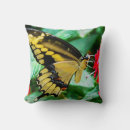 Suche nach schmetterling kissen Für alle