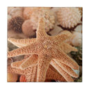 Suche nach getrocknet fliesen Blume