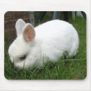 Suche nach ostern kaninchen mousepads Hase