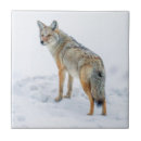 Suche nach schnee fliesen Grenze danita