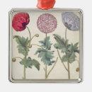 Suche nach mohnblume ornamente Blumen