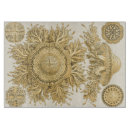 Suche nach meer schneidebrettchen Gold