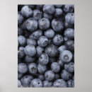 Suche nach nährstoffe poster Frische