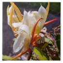 Suche nach dragons fliesen Blume