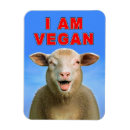 Suche nach vegan magnete Nahrung