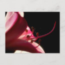 Suche nach emotion postkarten Du