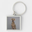 Suche nach weimaraner schlüsselanhänger In voller länge