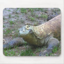 Suche nach komodo drache mousepads Reptil