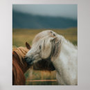 Suche nach herrlich poster Pferd