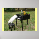 Suche nach parrot poster Vögel