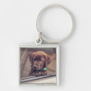 Suche nach niedliche hunde schlüsselanhänger Labrador retriever