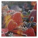 Suche nach umwelt fliesen Farbig