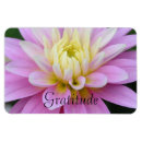 Suche nach dahlie magnete Blumen