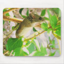Suche nach busch mousepads Sommer