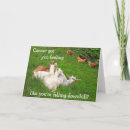 Suche nach abgelaufen postkarten Spaß