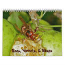Suche nach biene kalender Hummel