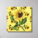 Suche nach vintage sonnenblume leinwandbilder Gelb