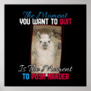 Suche nach alpaca poster Lama