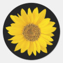 Suche nach schwarze spitze aufkleber Jede person