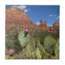 Suche nach sedona arizona fliesen Wüste