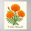 Suche nach ringelblumen poster Für alle