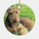 Suche nach airedale terrier ornamente Haustier