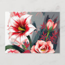 Suche nach amaryllis postkarten Rot