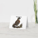 Suche nach freier vogel karten Vogelvogel
