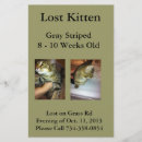Suche nach verloren flyer Für alle