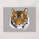 Suche nach tiger cartoon postkarten Große katze