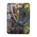 Suche nach gecko magnete Eidechse