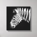 Suche nach zebra leinwandbilder Modern
