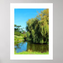 Suche nach weinende weiden poster Sommer