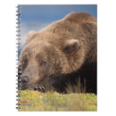 Suche nach grizzlybär kleine notizbücher Fleischfresser