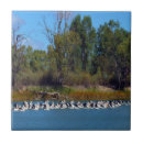 Suche nach a fliesen Fischerei