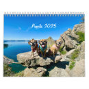 Suche nach puggle Mops