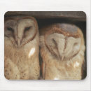 Suche nach vorderansicht mousepads Umwelt