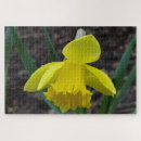 Suche nach gelbe narzisse puzzle Frühling