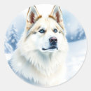Suche nach sibirischer husky aufkleber Tier